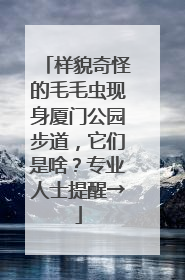 样貌奇怪的毛毛虫现身厦门公园步道，它们是啥？专业人士提醒→