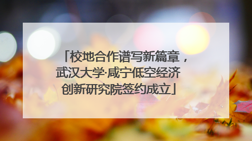 校地合作谱写新篇章，武汉大学·咸宁低空经济创新研究院签约成立