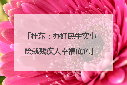 桂东：办好民生实事 绘就残疾人幸福底色