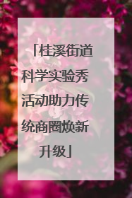 桂溪街道科学实验秀活动助力传统商圈焕新升级