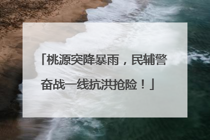 桃源突降暴雨，民辅警奋战一线抗洪抢险！