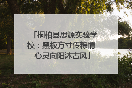 桐柏县思源实验学校：黑板方寸传粽情 心灵向阳沐古风