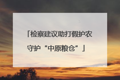 检察建议助打假护农守护“中原粮仓”