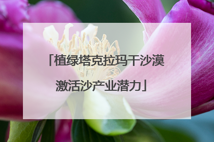 植绿塔克拉玛干沙漠 激活沙产业潜力