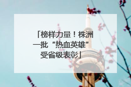榜样力量！株洲一批“热血英雄”受省级表彰