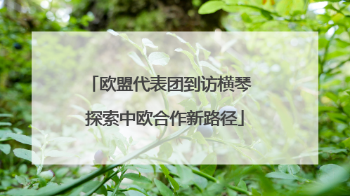 欧盟代表团到访横琴 探索中欧合作新路径