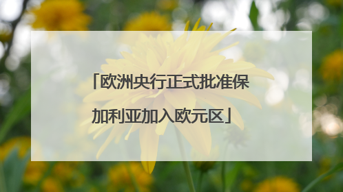 欧洲央行正式批准保加利亚加入欧元区