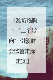 潍坊临朐：“三个导向”引领财会监督走深走实