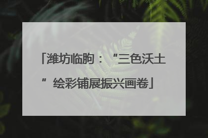 潍坊临朐：“三色沃土”绘彩铺展振兴画卷