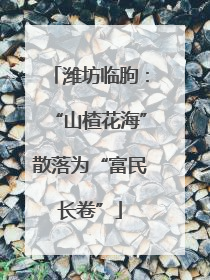 潍坊临朐：“山楂花海”散落为“富民长卷”