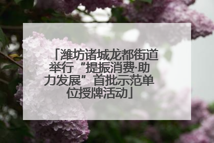 潍坊诸城龙都街道举行“提振消费·助力发展”首批示范单位授牌活动