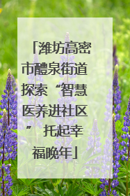 潍坊高密市醴泉街道探索“智慧医养进社区” 托起幸福晚年