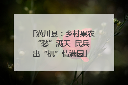 潢川县：乡村果农“愁”满天  民兵出“机”情满园