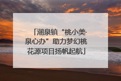 潮泉镇“桃小美·泉心办”助力梦幻桃花源项目扬帆起航