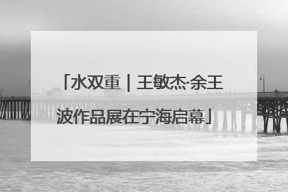 水双重｜王敏杰·余王波作品展在宁海启幕