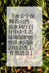 水安全保障看山西：省水利厅召开中央生态环境保护督察涉水问题边督边改工作推进会