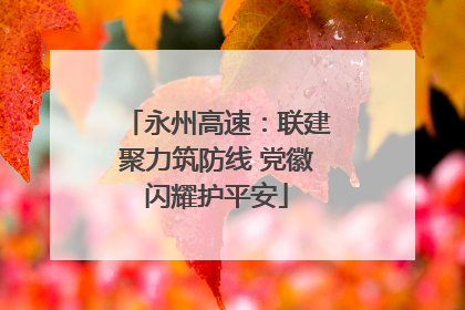 永州高速：联建聚力筑防线 党徽闪耀护平安