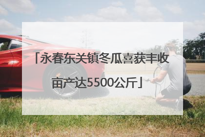 永春东关镇冬瓜喜获丰收 亩产达5500公斤