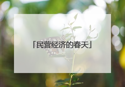 民营经济的春天