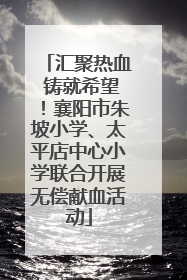 汇聚热血 铸就希望！襄阳市朱坡小学、太平店中心小学联合开展无偿献血活动