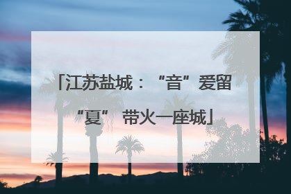 江苏盐城：“音”爱留“夏” 带火一座城