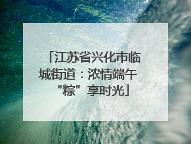 江苏省兴化市临城街道：浓情端午 “粽”享时光