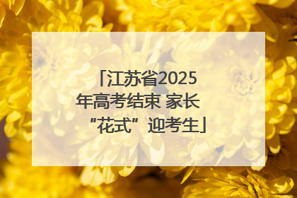 江苏省2025年高考结束 家长“花式”迎考生