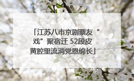 江苏八市京剧票友“戏”聚宿迁 52段皮黄腔里流淌党恩绵长