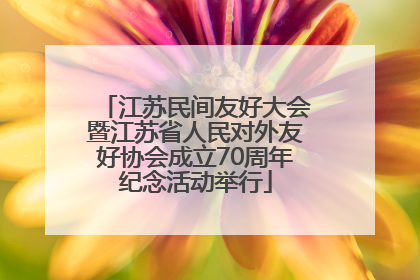 江苏民间友好大会暨江苏省人民对外友好协会成立70周年纪念活动举行
