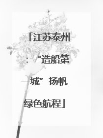 江苏泰州：“造船第一城”扬帆绿色航程