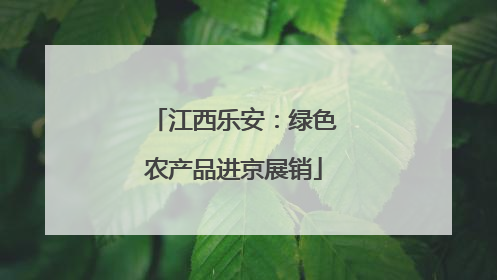 江西乐安：绿色农产品进京展销