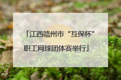 江西赣州市“互保杯”职工网球团体赛举行