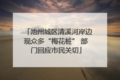 池州城区清溪河岸边现众多“梅花桩” 部门回应市民关切