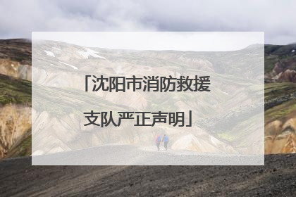 沈阳市消防救援支队严正声明