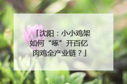 沈阳：小小鸡架如何“啄”开百亿肉鸡全产业链？