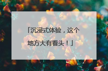 沉浸式体验，这个地方大有看头！