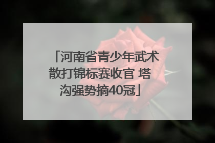 河南省青少年武术散打锦标赛收官 塔沟强势摘40冠