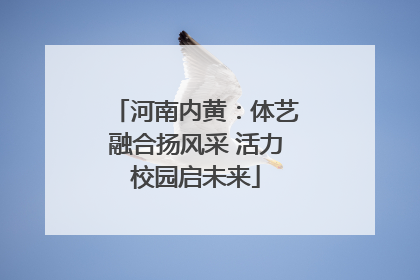 河南内黄：体艺融合扬风采 活力校园启未来