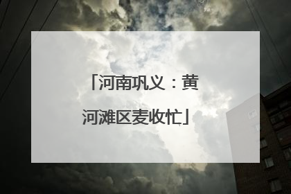 河南巩义：黄河滩区麦收忙