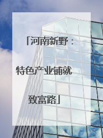 河南新野：特色产业铺就致富路