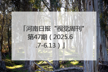 河南日报“视觉周刊”第47期（2025.6.7-6.13）