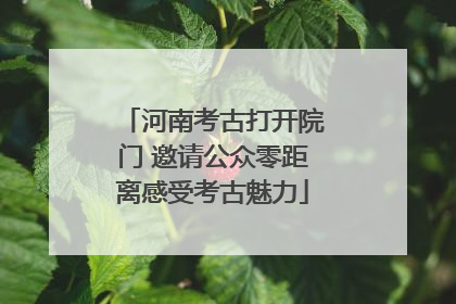 河南考古打开院门 邀请公众零距离感受考古魅力