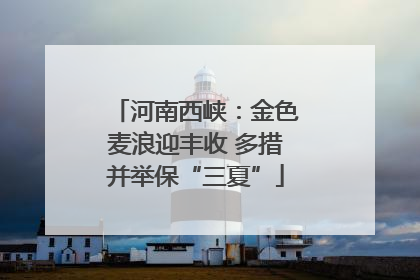 河南西峡：金色麦浪迎丰收 多措并举保“三夏”