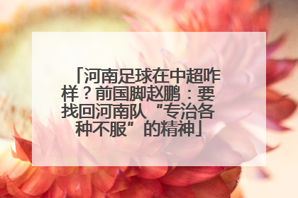 河南足球在中超咋样？前国脚赵鹏：要找回河南队“专治各种不服”的精神