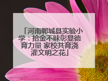 河南郸城县实验小学：拾金不昧彰显德育力量 家校共育浇灌文明之花
