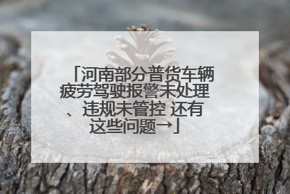 河南部分普货车辆疲劳驾驶报警未处理、违规未管控 还有这些问题→