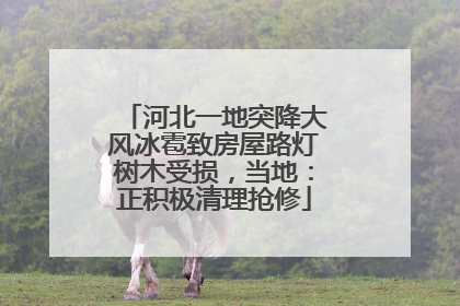 河北一地突降大风冰雹致房屋路灯树木受损，当地：正积极清理抢修