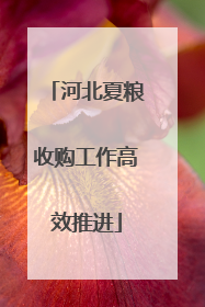 河北夏粮收购工作高效推进