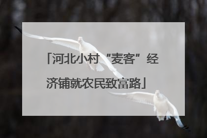 河北小村“麦客”经济铺就农民致富路