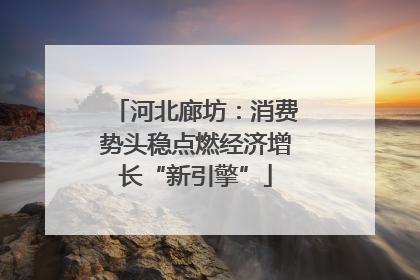 河北廊坊：消费势头稳点燃经济增长“新引擎”